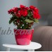 Santino Self Watering Planter Asti 10.6 Inch Gold/Black Flower Pot   564101648